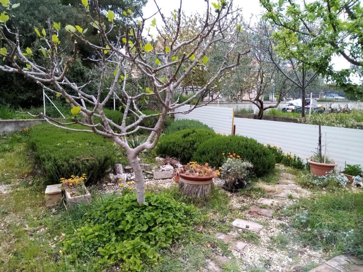 Vanja Skara Biograd Apartament *