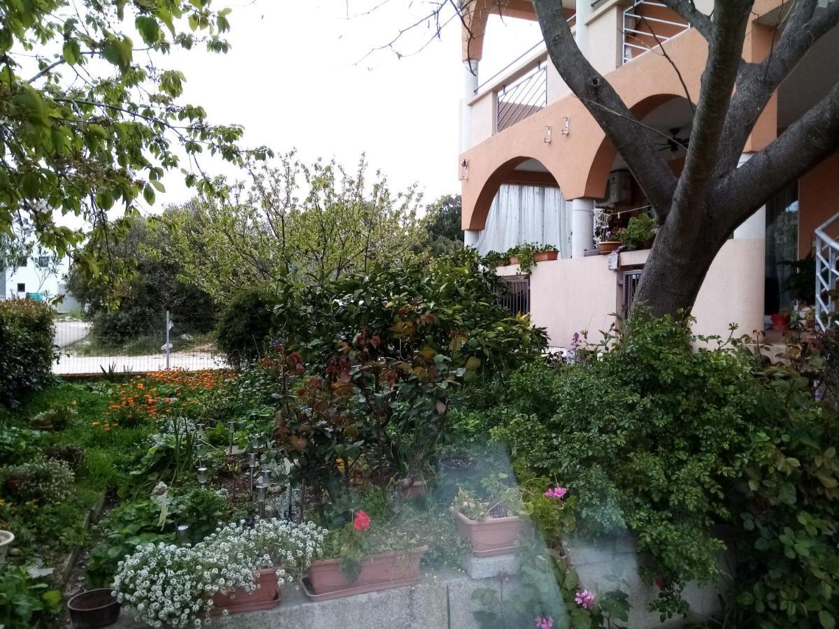 Vanja Skara Biograd * Biograd Na Moru
