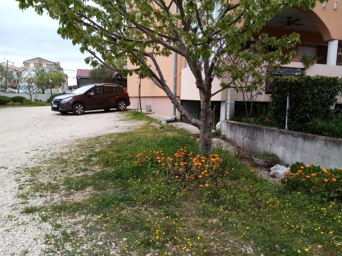 Vanja Skara Biograd * Biograd Na Moru