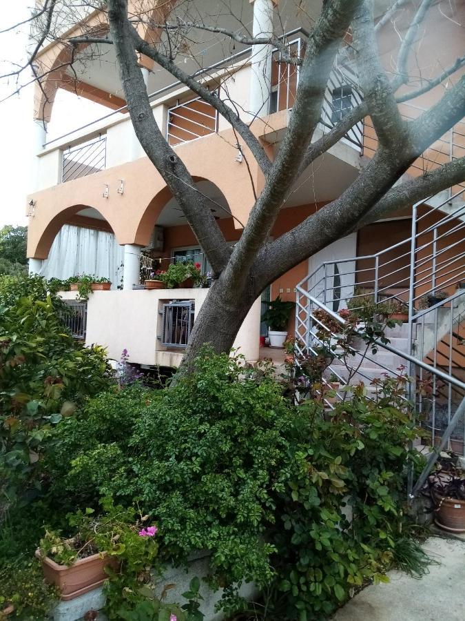 Apartamento Vanja Skara Biograd Biograd Na Moru