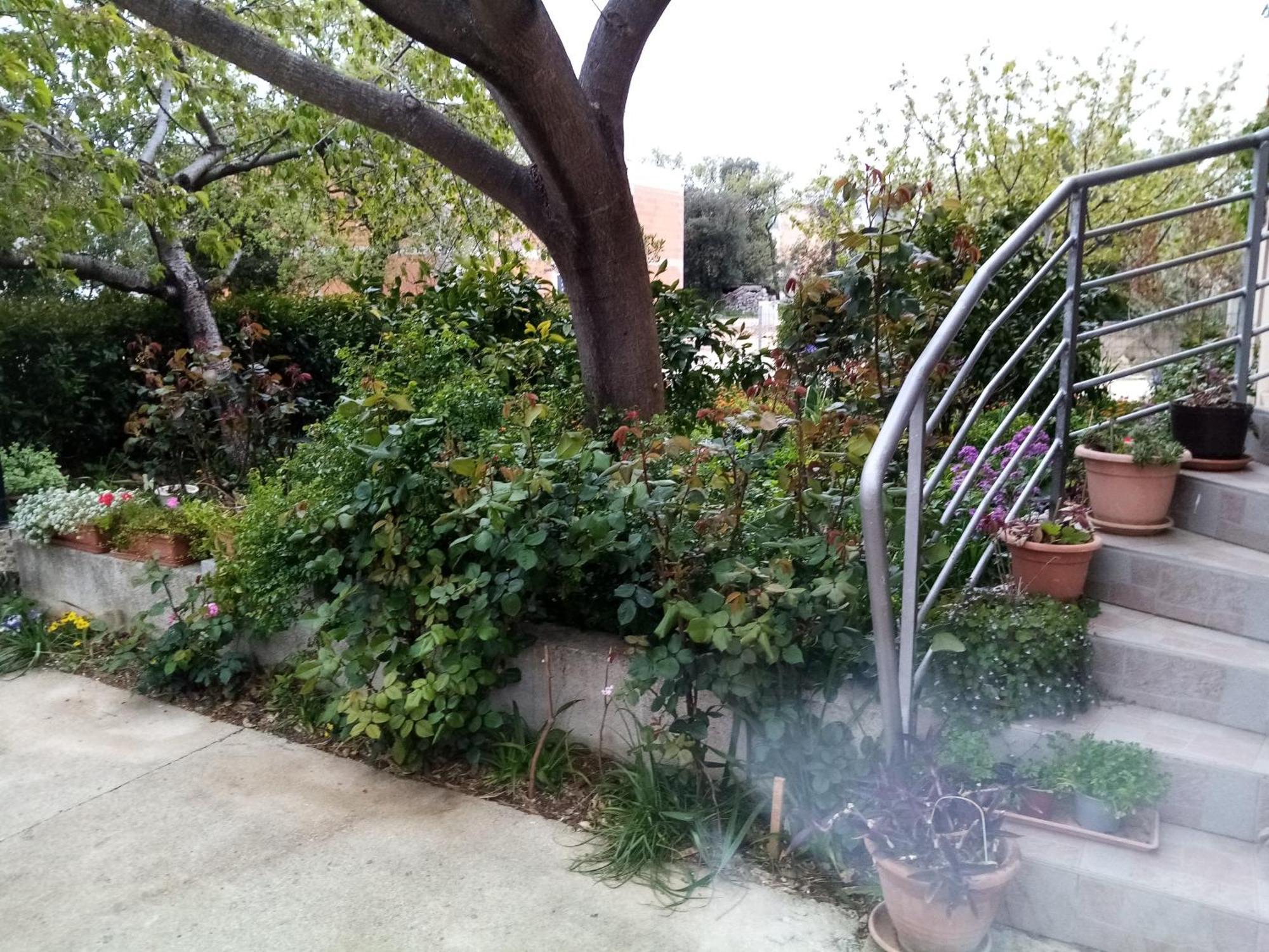 Vanja Skara Biograd Apartamento Biograd Na Moru
