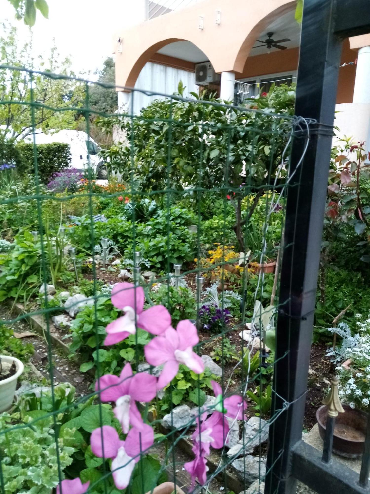 Vanja Skara Biograd Apartamento
